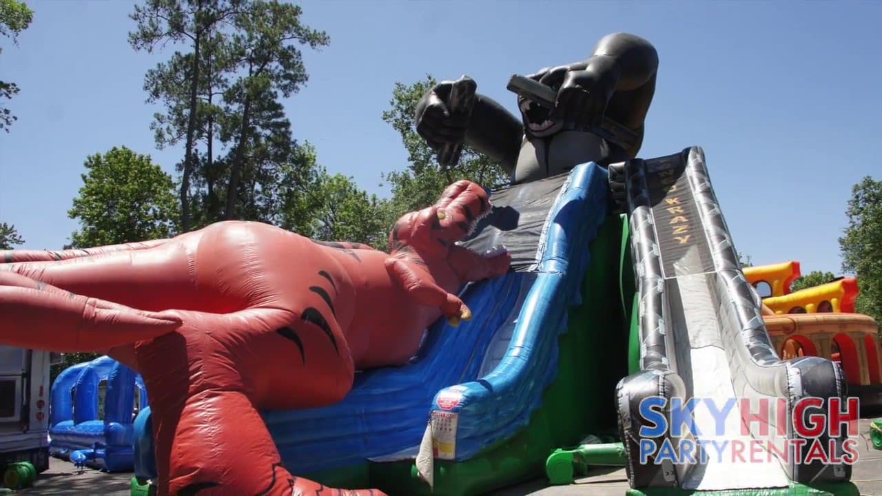 Kongo Crazy T-Rex Double Slide - Video