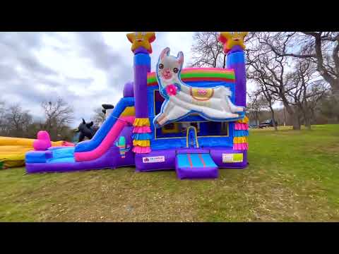 Llama Bounce House Combo w/ (Dry or Wet/Water Slide) - Video
