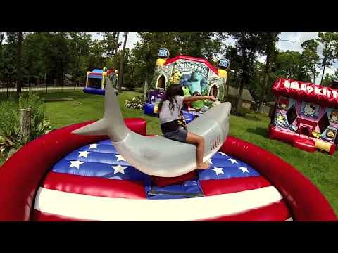 Mechanical Shark - Video