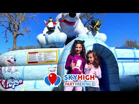 Polar Bear Arctic Plunge Dual Lane Slide - Video