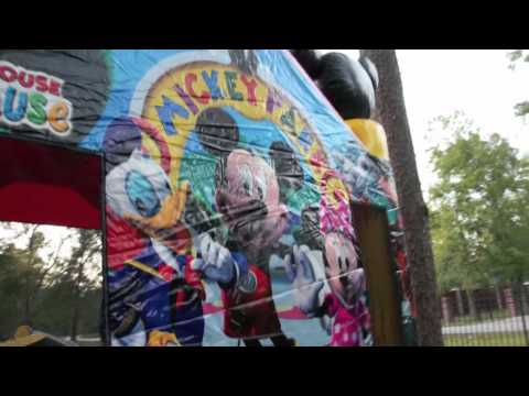 Mickey Mouse Park & Friends - Video