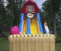 Product Image-1