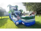 15ft Palm Tree wet or dry water slide rental in Austin — dual lanes with splash pool, ideal for Cedar Park parties.