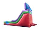 Toy Story Retro water slide rental in Houston with wet or dry setup — ideal for The Woodlands parties.