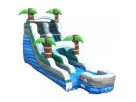 15ft Palm Tree wet-dry water slide rental in Austin—perfect for Buda kids' parties with dual lanes and splash pool.