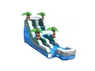 Perfect for Conroe parties, this 15ft Palm Tree wet/dry slide rental in Houston features dual lanes and splash pool for kids