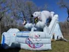 Dual-lane polar bear arctic slide rental in Dallas with dual slides ideal for McKinney winter-themed events and summer parties.