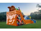 Tobogán acuático doble con área de juego en Austin — renta con piscina incluida, ideal para fiestas en Cedar Park.