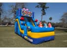 20ft birthday surprise water slide rental in Houston — wet or dry slide perfect for Conroe kids' parties.