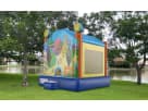 Perfect for Arlington birthday parties, this 13x13 Bubble Guppies bounce house rental in Dallas features colorful character