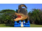 Perfect for Houston birthday parties, this giant crocodile water slide rental features dual slide lanes and commercial-grade