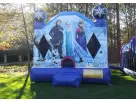 Perfect for Dallas girl birthday parties, this Disney-licensed Frozen bounce house rental features Elsa, Anna & characters, holds