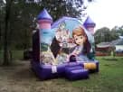 Sofia the First bounce house rental in Dallas with purple and pink castle design, ideal for kids ages 3 and up at backyard