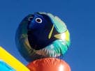 Finding Dory 13x13 bounce house rental in Houston with Disney-licensed design, ideal for Cypress parties.