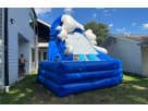 Blue and white dual curve water slide rental in Austin with pool base, ideal for Cedar Park backyard parties.