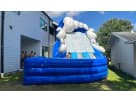 20ft Raging Rapids dual curve water slide rental in Austin with cloud-top feature, perfect for Cedar Park backyard parties.