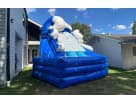 20ft Raging Rapids dual curve water slide rental in Austin with wave design, perfect for Round Rock backyard parties.