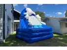 20ft Raging Rapids dual curve water slide rental in Houston with dual climbing lanes, perfect for Pearland backyard parties.