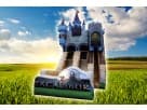 Medieval castle bounce house rental in Austin with dual slides — ideal for Georgetown parties.