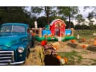 Perfect for Plano toddlers, this farm-themed obstacle course rental in Dallas features pop-out challenges ideal for ages 2-6