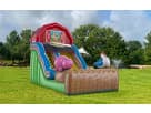 Crazy Farm pig slide rental in Dallas with wet or dry options, ideal for Plano birthday parties.