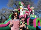 Flamingo Party Themed Rentals