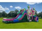 Flamingo Bounce House Combo Rentals at a Park