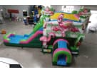 Flamingo Party Themed Rentals