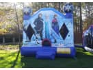 Renta de castillo inflable Frozen en Austin lleva la magia Disney a fiestas en Leander.