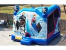 Houston Frozen Inflatable Moonwalk Slide Combo