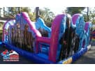 Frozen-themed toddler obstacle course rental in Austin with pop-out challenges, ideal for ages 2-6 parties in Cedar Park.