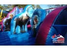 Toddler-sized Frozen bounce house rental in Austin with pop-out obstacles, perfect for Kyle birthday parties and backyard events.