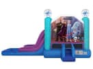Frozen 2 bounce house with water slide rental in Dallas—wet or dry slide, ideal for Lewisville parties.