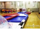 Perfect for Lewisville parties, this Hamster Ball Collision Course rental in Dallas features two rolling balls ideal for ages 4