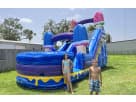 Perfect for Dallas kids' parties, the Ice Cream wet or dry water slide rental features dual slides and a climbing tower