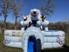Dual lane polar bear slide rental in Dallas with icy blue and white design, ideal for McKinney winter-themed events.