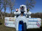 Polar Bear Arctic Plunge dual lane slide rental in Austin with simultaneous racing — ideal for Kyle winter-themed parties.