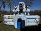 Perfect for Austin school events, this Arctic Plunge dual-lane slide rental features a playful polar bear and dual slides