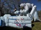 Penguin Polar Bear Dry Slide Rental