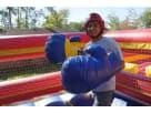 Bouncing Boxing Ring Inflatable with Gloves
