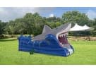 Renta de tobogán acuático con diseño de tiburón de 30 pies en Houston — perfecto para fiestas refrescantes en Kingwood.