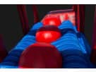 Curso de obstáculos rojo y azul con techo de malla para renta en Austin — ideal para desafiar a grupos en Leander.