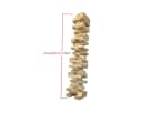 Jumbo Stacking Blocks rental in Houston with natural wood tower ideal for indoor or outdoor event games in The Woodlands.