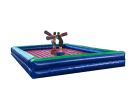 Joust Inflatable Game Rentals