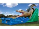 Perfect for Houston birthday parties, this giant crocodile wet and dry slide rental features dual slide lanes and a blue landing