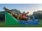 King Croc wet and dry water slide rental in Houston with dual slide lanes — ideal for Pearland parties.