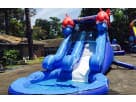 Perfect for Dallas toddler pool parties, the Lil Kahuna water slide rental features dual slides with a landing pool