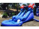 Perfect for toddler pool parties in Dallas, the Lil Kahuna water slide rental features dual lanes and a splash pool base