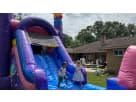 Renta de tobogán acuático Llama con capacidad para 8-10 niños disponible en Houston — ideal para fiestas en Kingwood.
