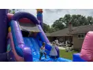 Llama water slide rental in Dallas with dual lanes, ideal for Lewisville birthday parties accommodating 8–10 kids.